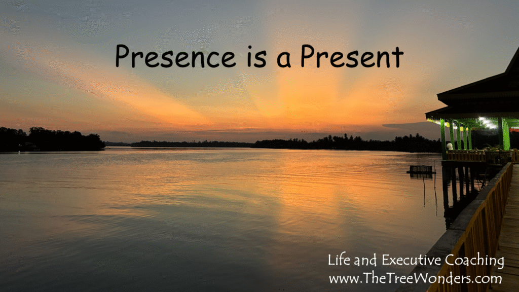*The Importance of Presence in Coaching*
Through years of mentoring aspiring coaches-in-training, it has become increasingly clear how crucial it is to embody Presence. When a coach is truly present, they can connect deeply with those they are supporting.
Presence is not simply a state of being, it is a meaningful gift we offer to another person. By being fully engaged and attentive, we create a space where partnership, understanding, and growth can occur. In coaching, this gift of Presence allows for trust, openness, and transformative conversations.

Presence is a Present 🎁